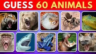 Сможете ли вы назвать всех 60 опасных животных? 🐍🔥 Викторина о животных 2026