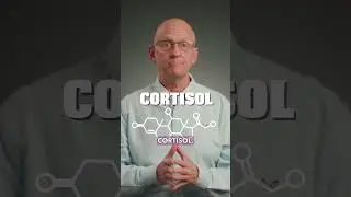 How Magnesium Reduces Stress