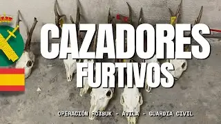 Desarticulada una trama de cazadores furtivos que manipulaba precintos de caza para reutilizarlos