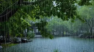 Deep Sleep Quickly with Natural Rain | Rain on the Forest Lake ASMR for Relax