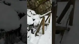 La cascade du bouchot dans les Vosges #vosges #panflute #naturesounds #naturelovers