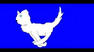 Running Cats