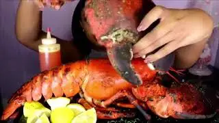 This 15lb lobster bigger then my puppy