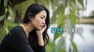 천년의 사랑 버드나무 아래 새긴 정 여자 정통 트로트