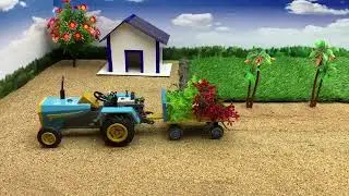 Tree Plantation at Farm #diyfarming