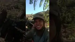 Krip Bana đang phát trực tiếp! bóc mi tươi