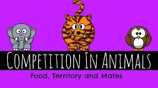 Competition In Animals - Food, Territory and Mates - GCSE Biology