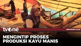 Mengintip Proses Pengolahan Kayu Manis | tvOne