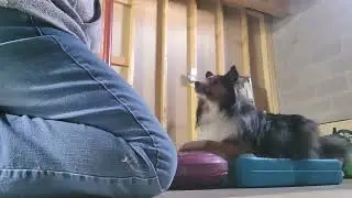 Ray work out 1