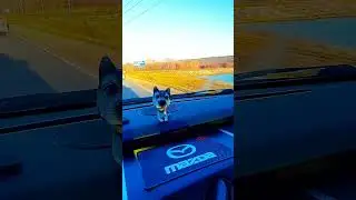 #remix #music #dj #edm #automobile #дорогавновуюжизнь #nature #мотивацияивдохновение