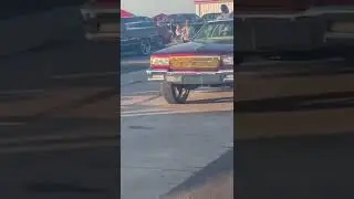Box Chevy on 26&rsquo;s Forgiatos