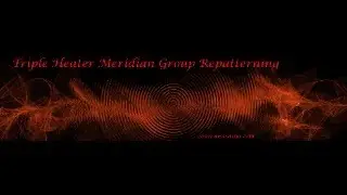 Triple Heater Meridian Resonance Repatterning&reg; Group Session