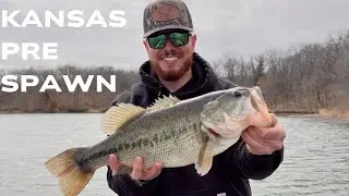 SPRING BASS FISHING IN KANSAS - BIG FISH ARE BITING!