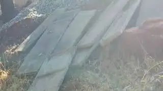 आज गांव से दंड का सफर गांव के दोस्तों के साथ इंजॉय करते हुए