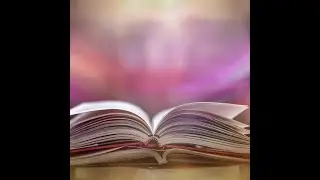 Understanding Tanach: Pshat, Midrash and Halacha (Part 10) || Rabbi Dr. Martin Lockshin
