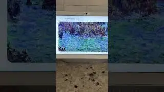 Yoolax Blackout Smart Blinds Honeycomb Shade