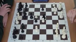 Alternative chess.  Royal chess. Альтернативные шахматы. Нестандартные шахматы. Королевские шахматы.