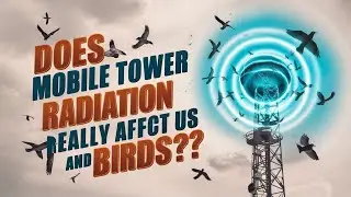 Does Mobile Tower Radiation Really Affect Us and Birds?