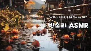 낙엽이 머무는 곳에 내리는 빗소리 ASMR/가장 아름다운 휴식 공간