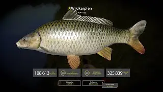 Russian Fishing 4 ★ 冠軍三花/歐洲鯉魚(Trophy Wildcarp, 34.812kg)[20191124]