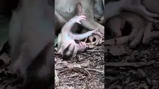 The Bush's Embrace: A Mother and Her Adorable Child#53
