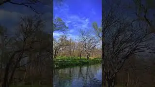 cinematic shorts Vlog 