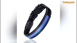 AIDI-C11 LED Shining Dog Collar Custom Personalized Reflective Dog Collars