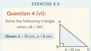 Class 9 Maths | Exercise 6.5 | Q4 (vi) | Solve the Triangle | Right Angle Triangle | 