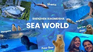 Sea World🐬🌊🧜&zwj;♀️🐳| My parents came to China🤩💙| Shenzhen Xiaomeisha Sea World🐙|✨Indian in China🇨🇳