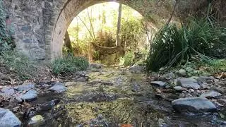 Medieval Bridges