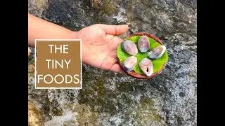 E21 | Tiny Fish Fry Recipe | The Tiny Foods