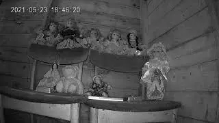 CCTV on 10 Haunted Dolls in back garden shed, They like Their light shows 👻
