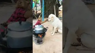 Please Wait Me! The Water Not Yet Cooked#MonkeySokYaa #Monkey Fishing#AnimalFishing #trending