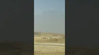 Driving around pyramid, Cairo , Egypt