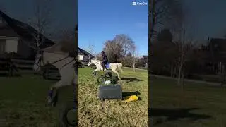 KC&rsquo;s beautiful jump on Nixie #horse #ponies #equestrian #nixie #subscribe #shorts #fyp