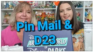 Pin Mail and D23 Pins