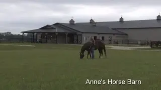 Richard & Anne's Horse Facility Tour | Morton Buildings Equestrian Project