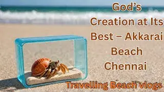 Akkarai Beach Chennai God’s Creation | #browsefeatures #akkaraibeach #chennaibeach