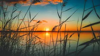 Beautiful Sea Beach | Relaxation video | Relaxation music| Nature background Video |Sunrise at beach
