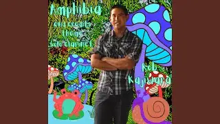 Amphibia End Credits Theme (Solo Clarinet Version)