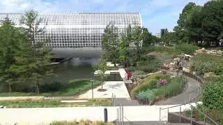 Waterfall By Crystal Bridge - Myriad Botanical Gardens