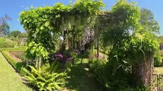 Heale Garden 5