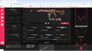 Valorant Color Themed Inventory - Brown