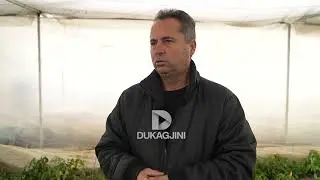 FERMERI NGA BELLANICA: PAK BUJQ KANË MBET, KREJT KANË DALË NË MËRGIM