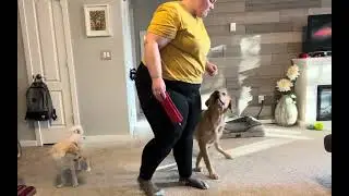 1/4/2026 Clicker Retrieve With Hold