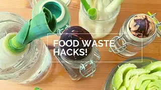 ZERO WASTE KITCHEN IDEAS // How to Grow Food Indoors on the Marilyn Denis Show