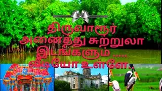 Tiruvarur Best Tourist places