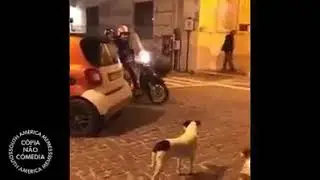 Pede licen&ccedil;a (meme)