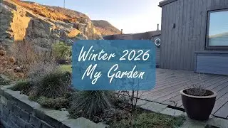 Winter 2026 - My Garden in Norway