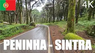 SINTRA FOREST, Portugal 4k -  Rainy Day - April 2023